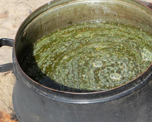 قوروت بادمجان